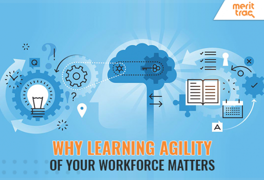 Why does the Learning Agility of Your Workforce Matte